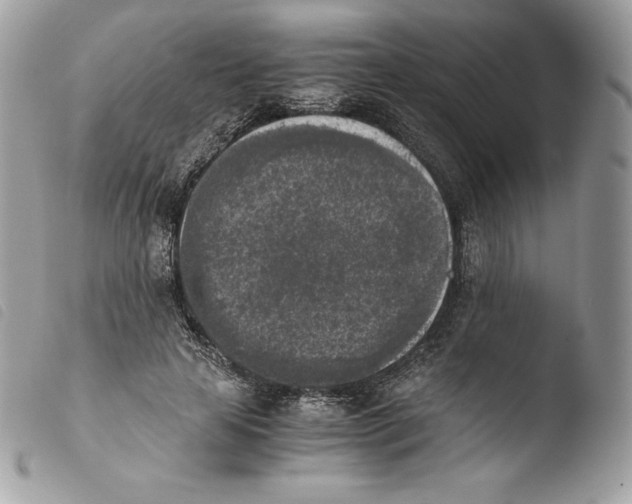 X0000103960641200810171903