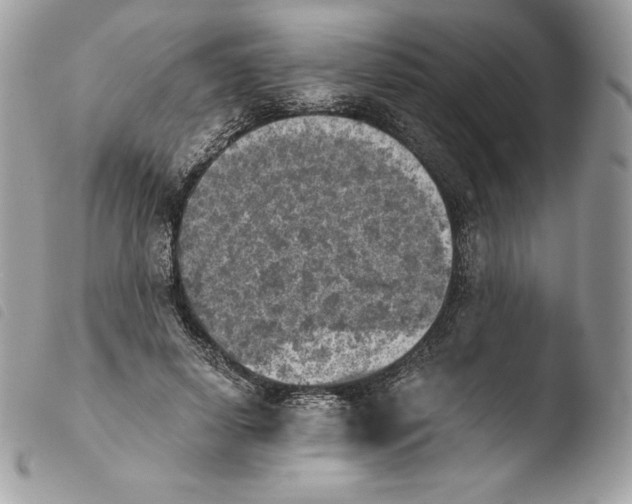 X0000103960642200810171903