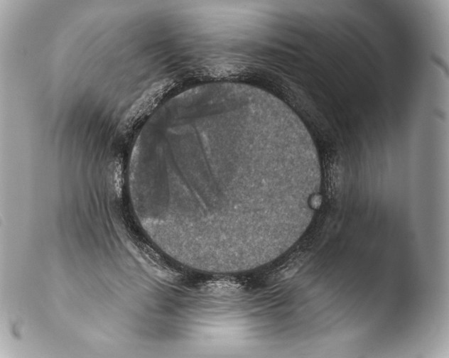 X0000103960644200810171903