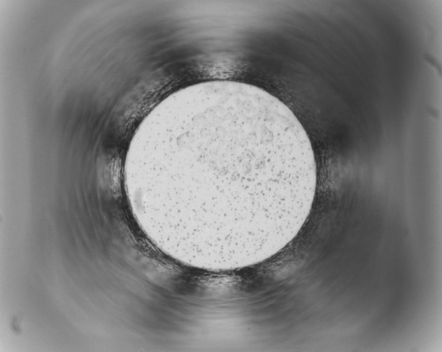 X0000103960646200810171903