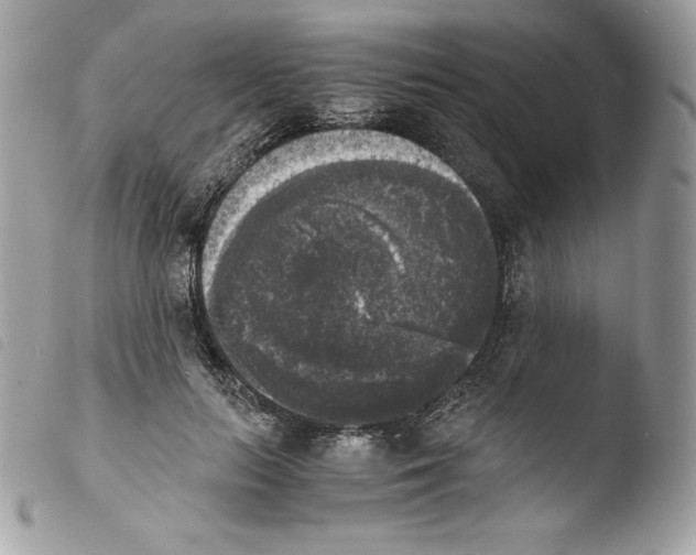 X0000103960647200810171903