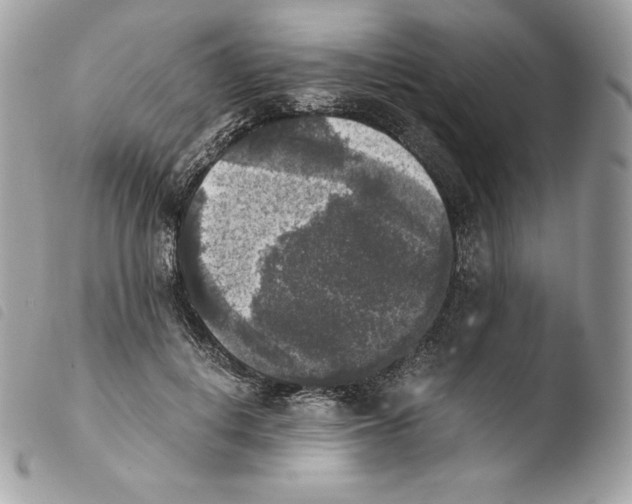 X0000103960648200810171903