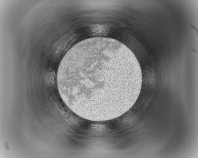 X0000103960649200810171903