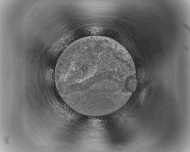 X0000103960650200810171903