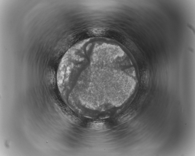 X0000103960651200810171903