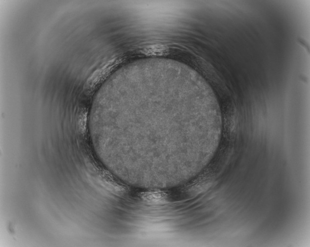 X0000103960652200810171903