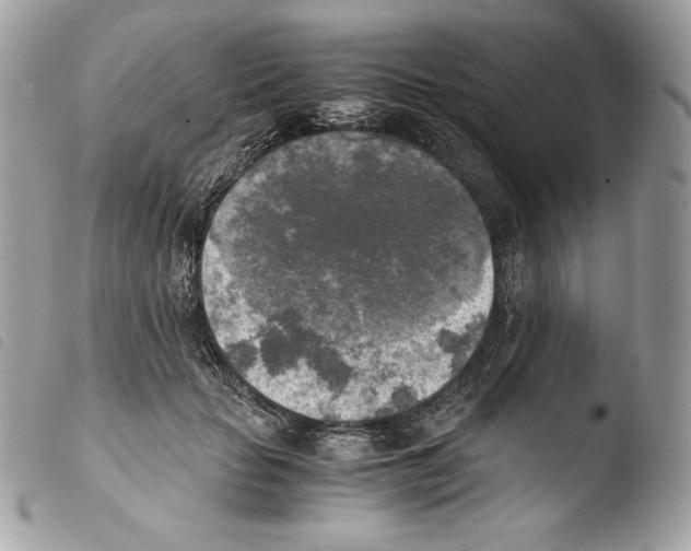 X0000103960653200810171903