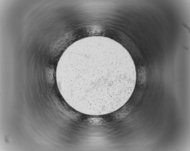 X0000103960654200810171903