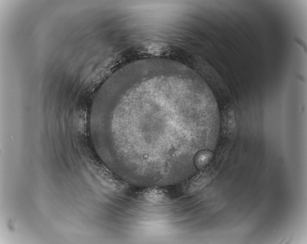 X0000103960656200810171903