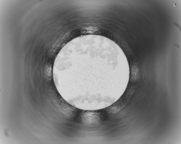 X0000103960657200810171903