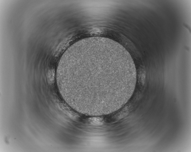 X0000103960660200810171903