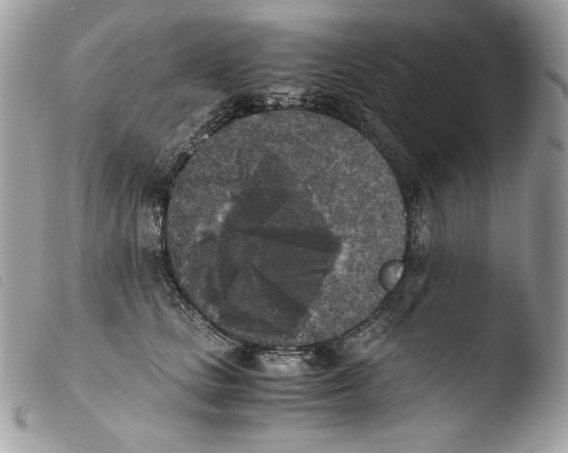 X0000103960661200810171903