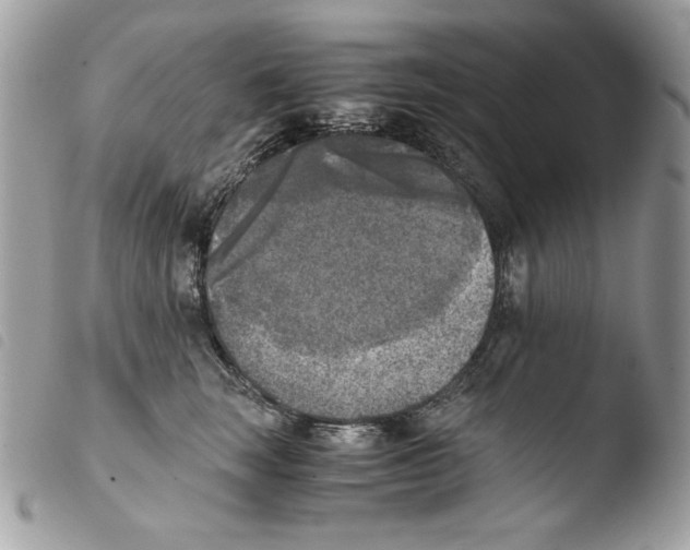 X0000103960663200810171903