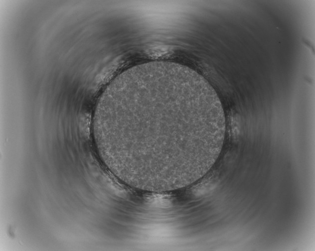 X0000103960664200810171903