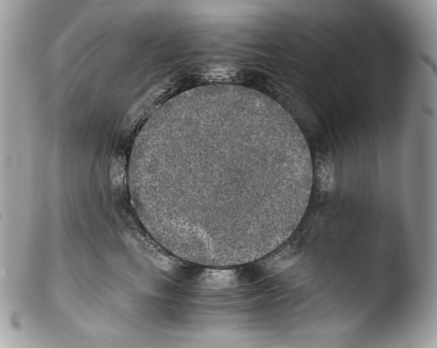 X0000103960665200810171903