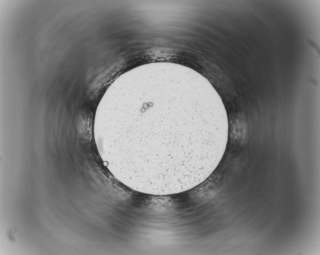 X0000103960666200810171903