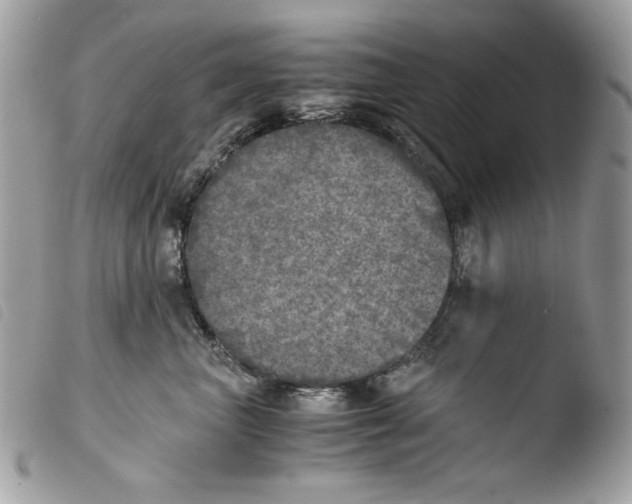 X0000103960667200810171903