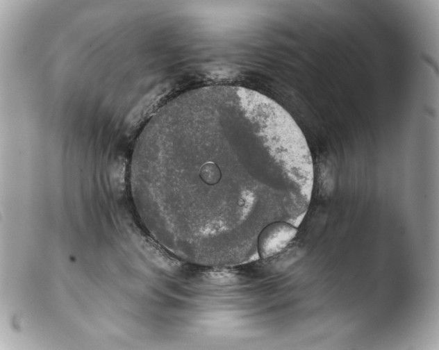 X0000103960668200810171903