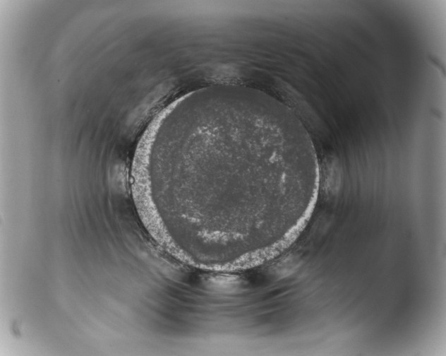 X0000103960669200810171903