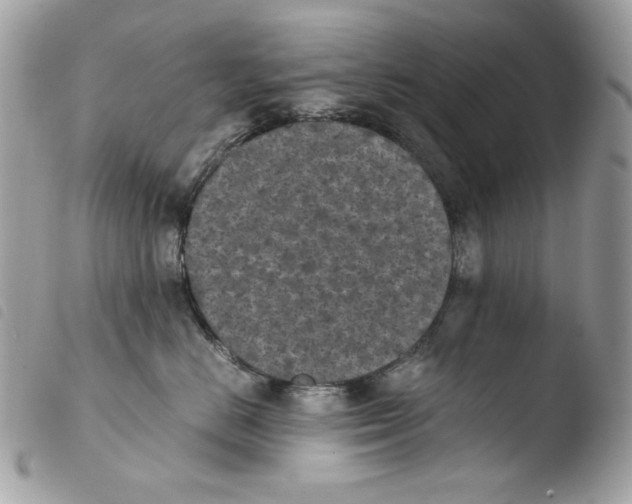 X0000103960670200810171903