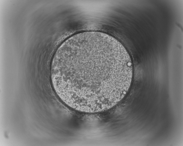 X0000103960673200810171902