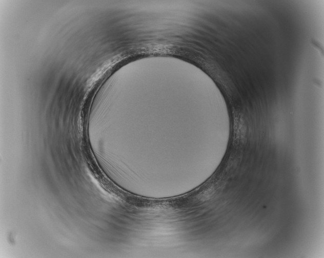 X0000103960674200810171902