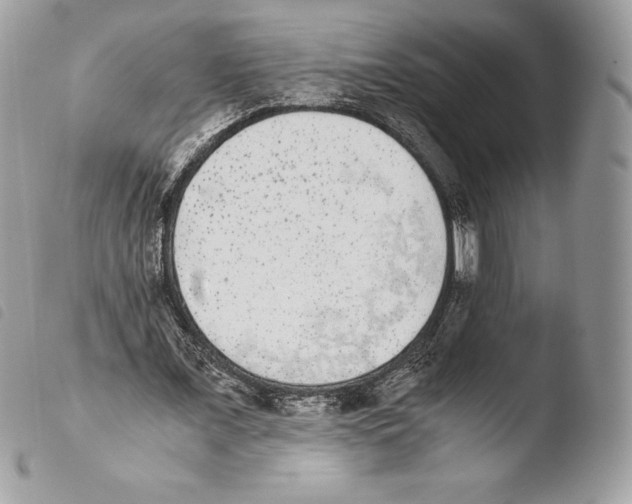 X0000103960675200810171902