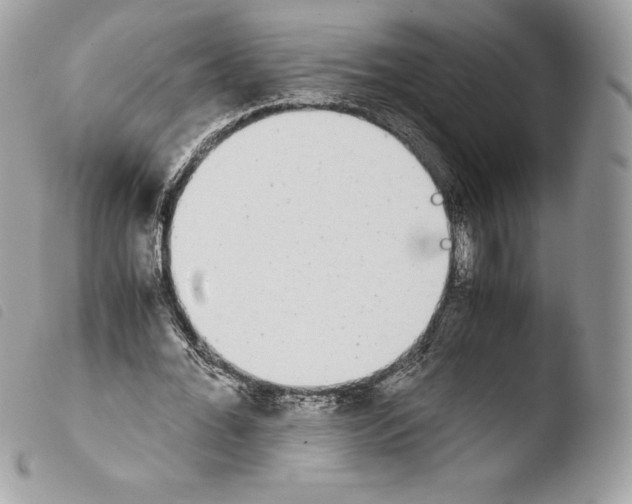 X0000103960676200810171902