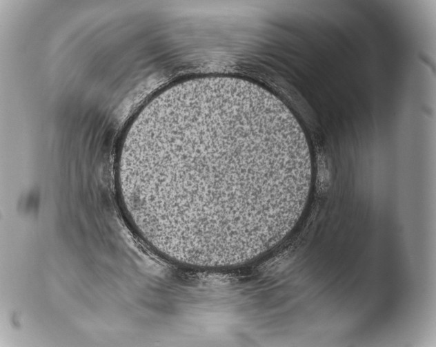 X0000103960677200810171902