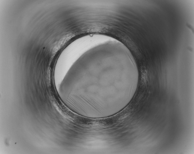 X0000103960678200810171902