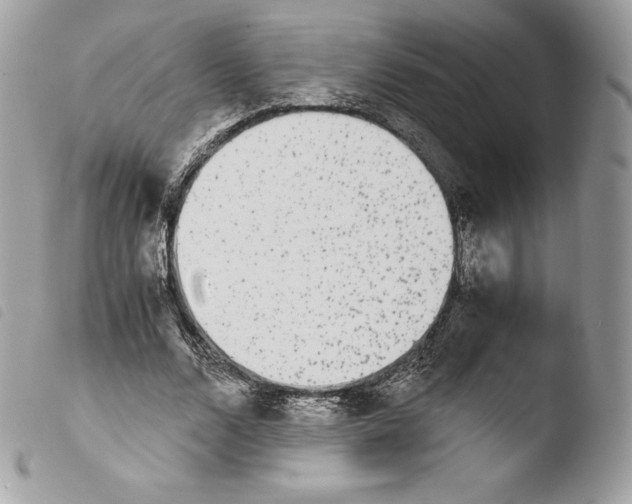 X0000103960680200810171902