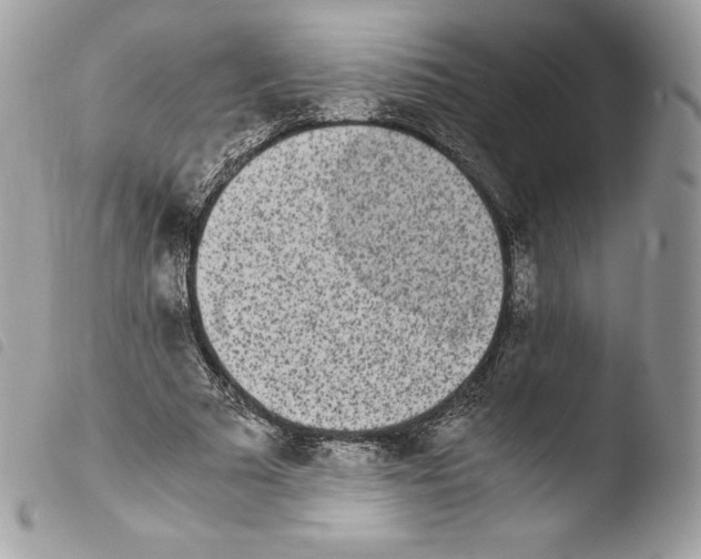 X0000103960681200810171902