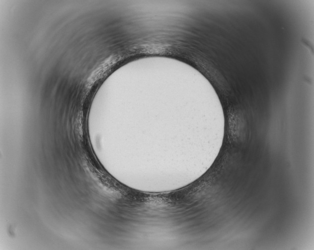 X0000103960682200810171902