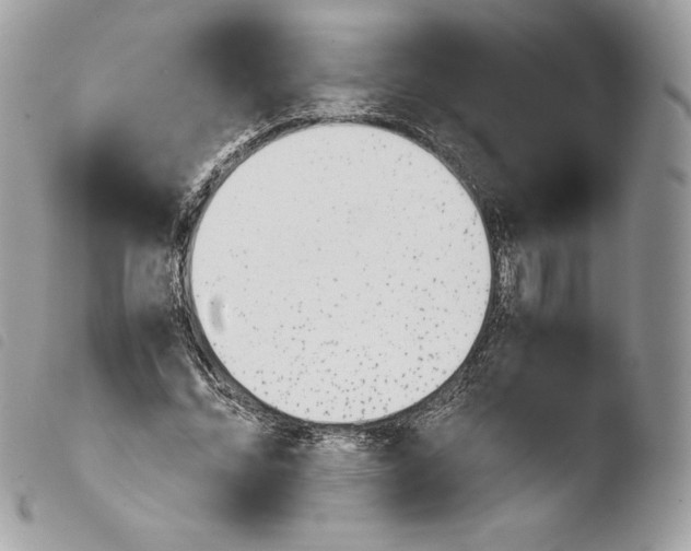 X0000103960684200810171902