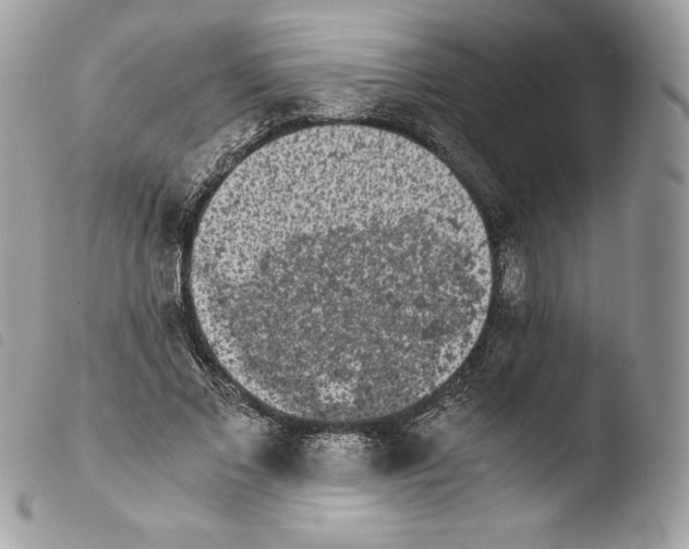 X0000103960685200810171902