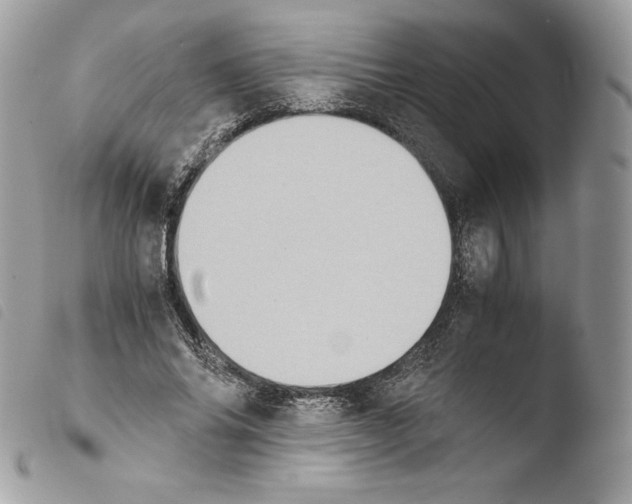 X0000103960686200810171902