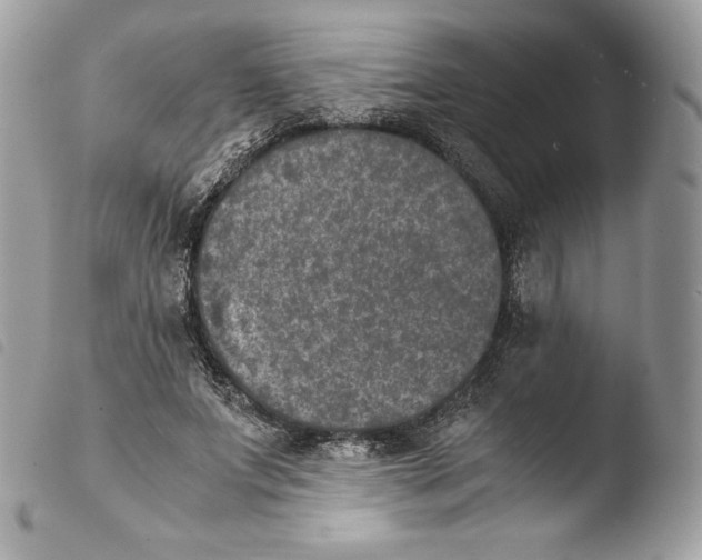 X0000103960687200810171902