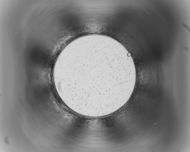 X0000103960688200810171902