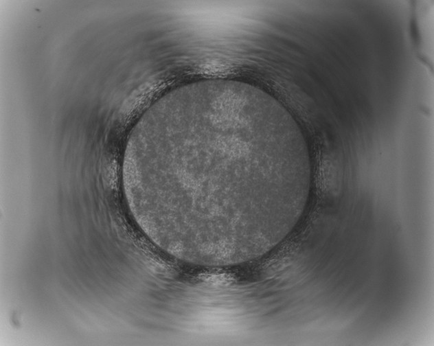 X0000103960689200810171902