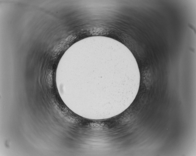 X0000103960690200810171902