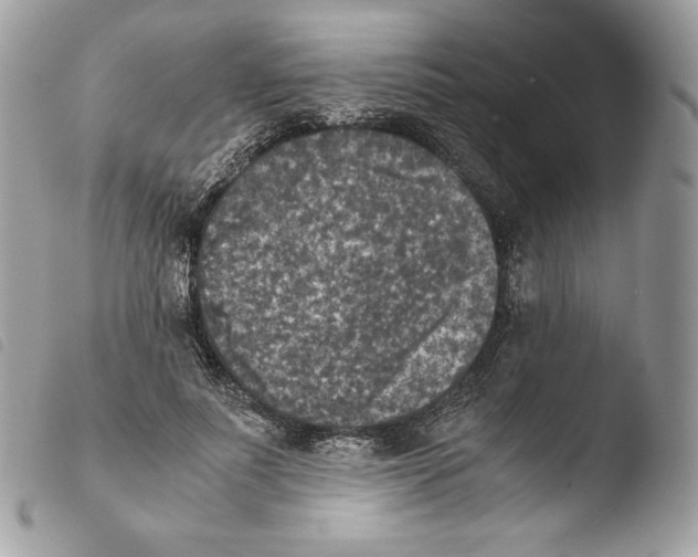 X0000103960691200810171902