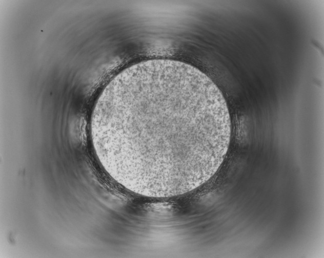 X0000103960692200810171902