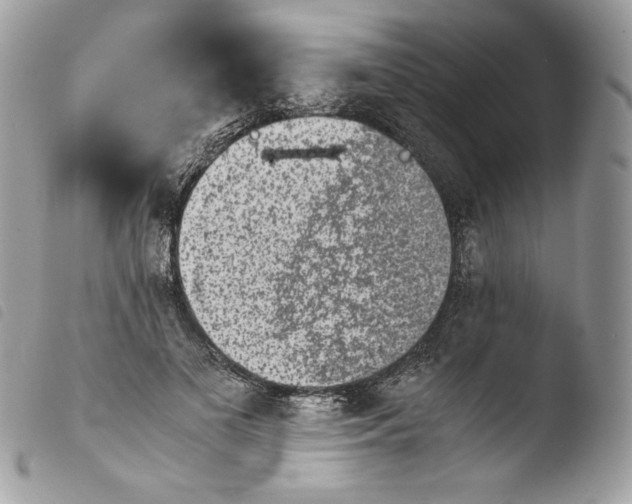 X0000103960693200810171902