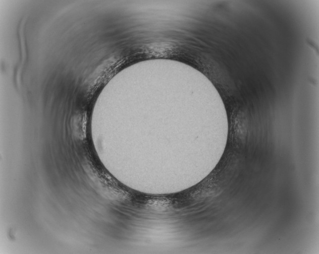 X0000103960694200810171902