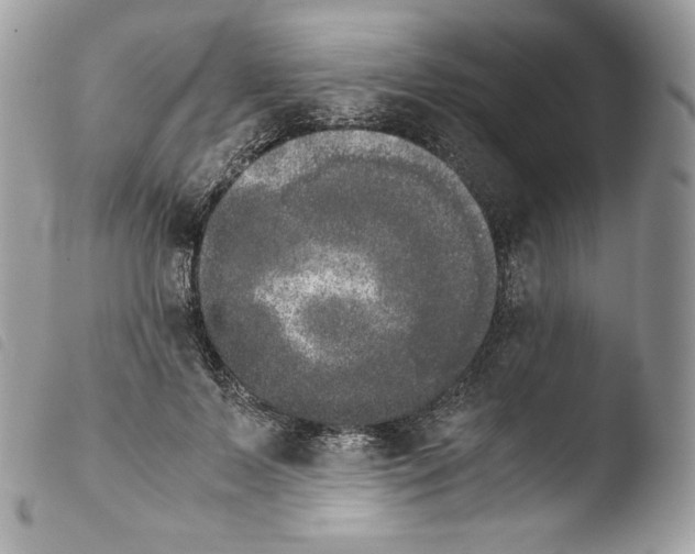 X0000103960695200810171902