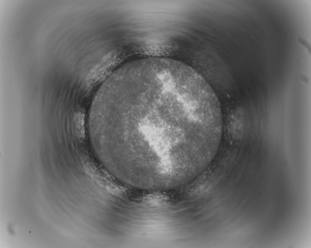 X0000103960696200810171902