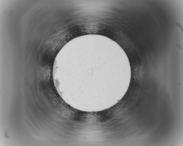 X0000103960697200810171902