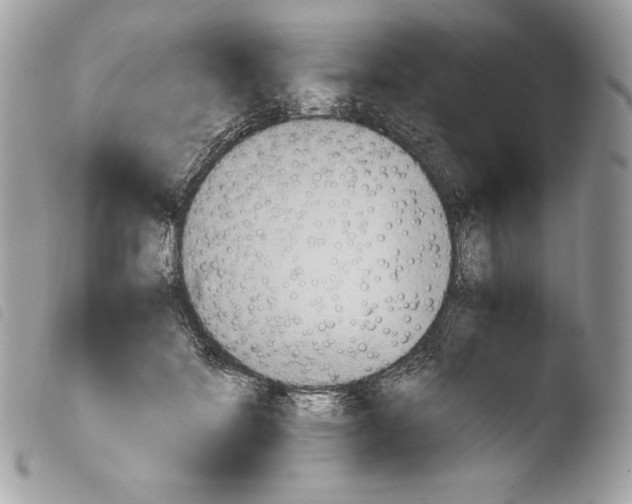 X0000103960698200810171902