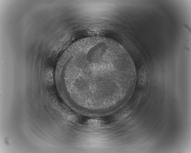 X0000103960699200810171902