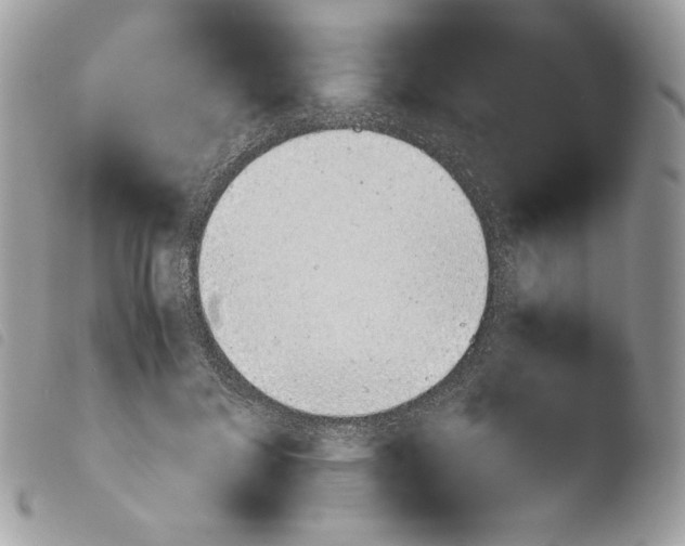 X0000103960700200810171902